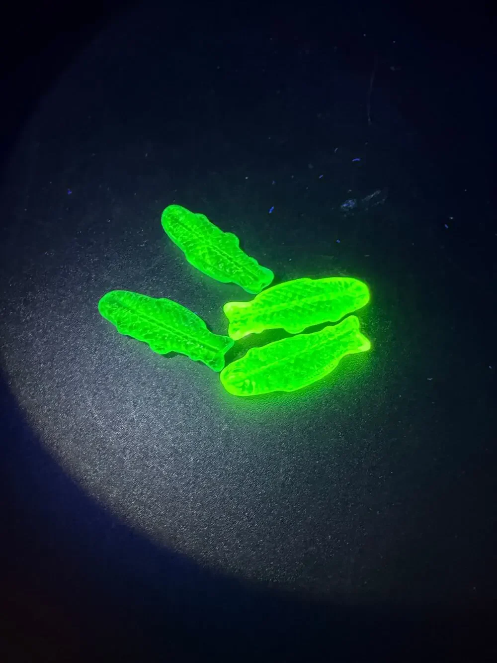 Lot of 4 Vintage Drilled Fluorescent Glass Fish Beads UV Reactive Blue Green